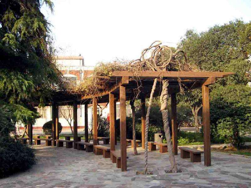 防腐木葡萄架03